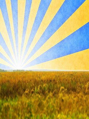cover image of Passion for Christian Worship